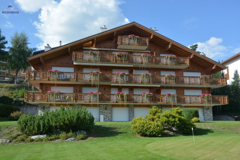 Coccinelles B34 ****